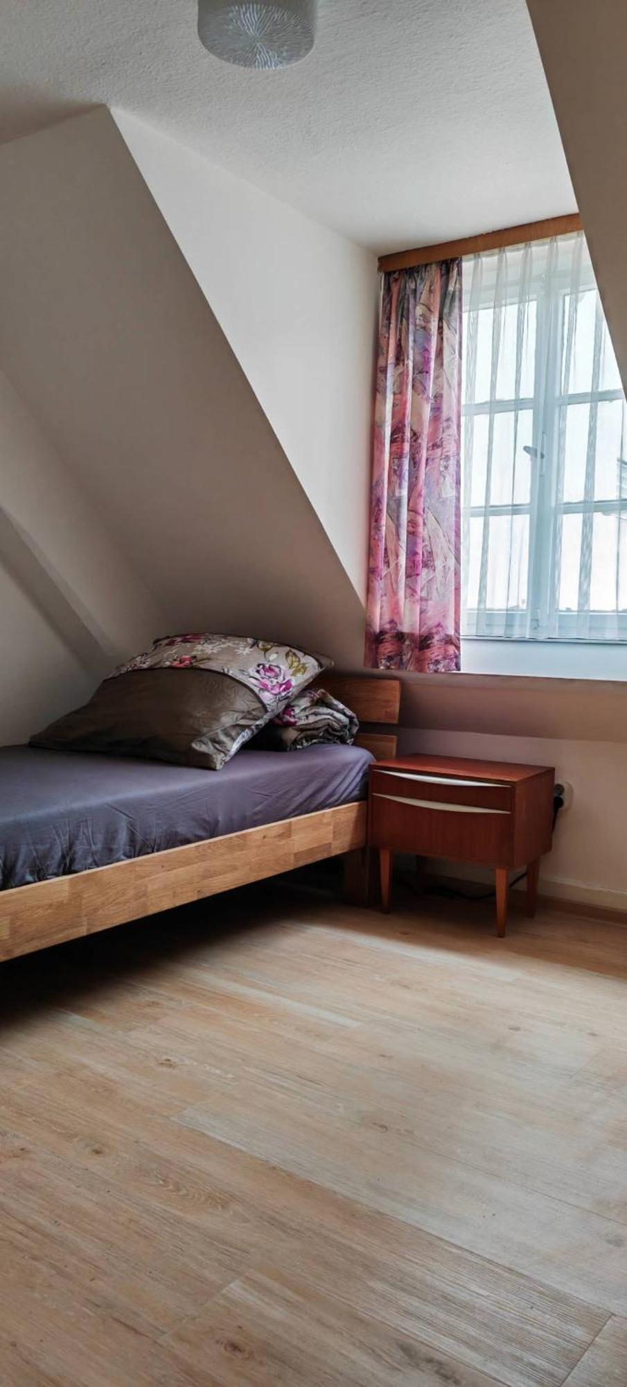 Goldner Stern Homestay Kaub